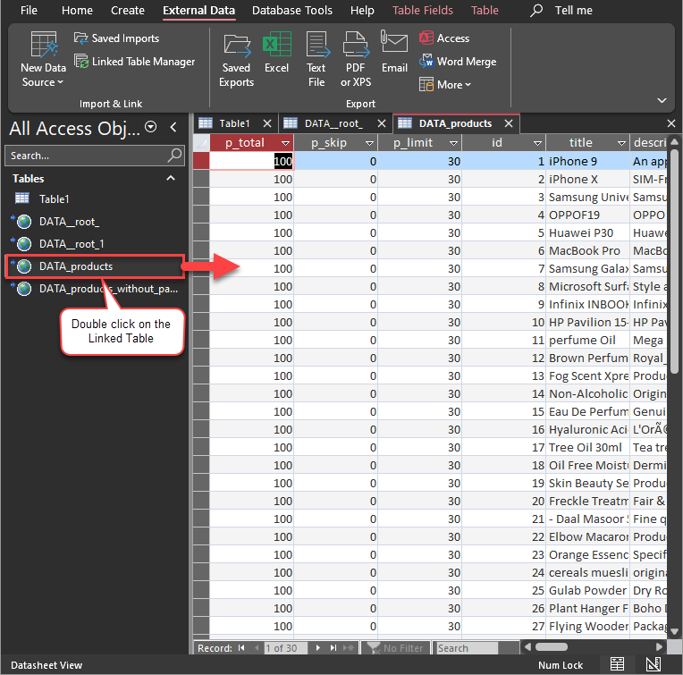 MS Access Linked Table